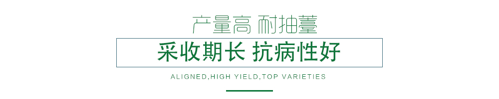 1585790399811575.jpg 03.jpg